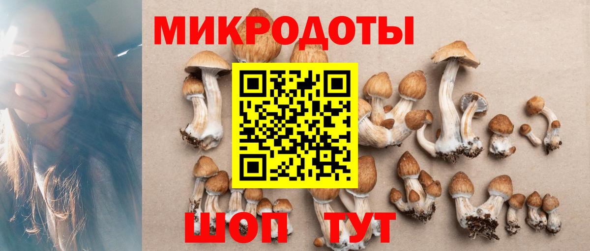 Морозовск  Галлюциногенные грибы мицелий  Вход с VPN  Галлюциногенные грибы MAGIC MUSHROOMS 